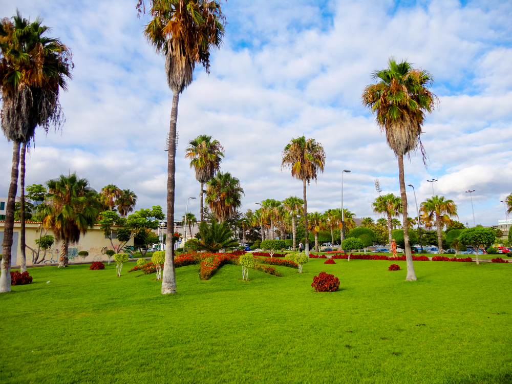 Park in Adeje