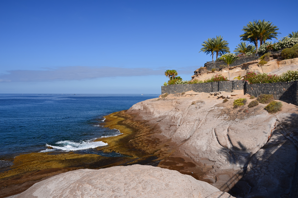 Rocks with Palm trees