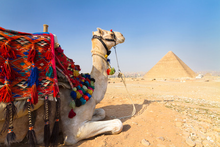 camel riding at egyptian pyramids